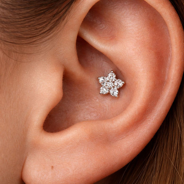 Conch