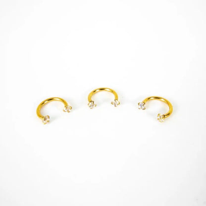 HERRADURA DOBLE CIRCÓN