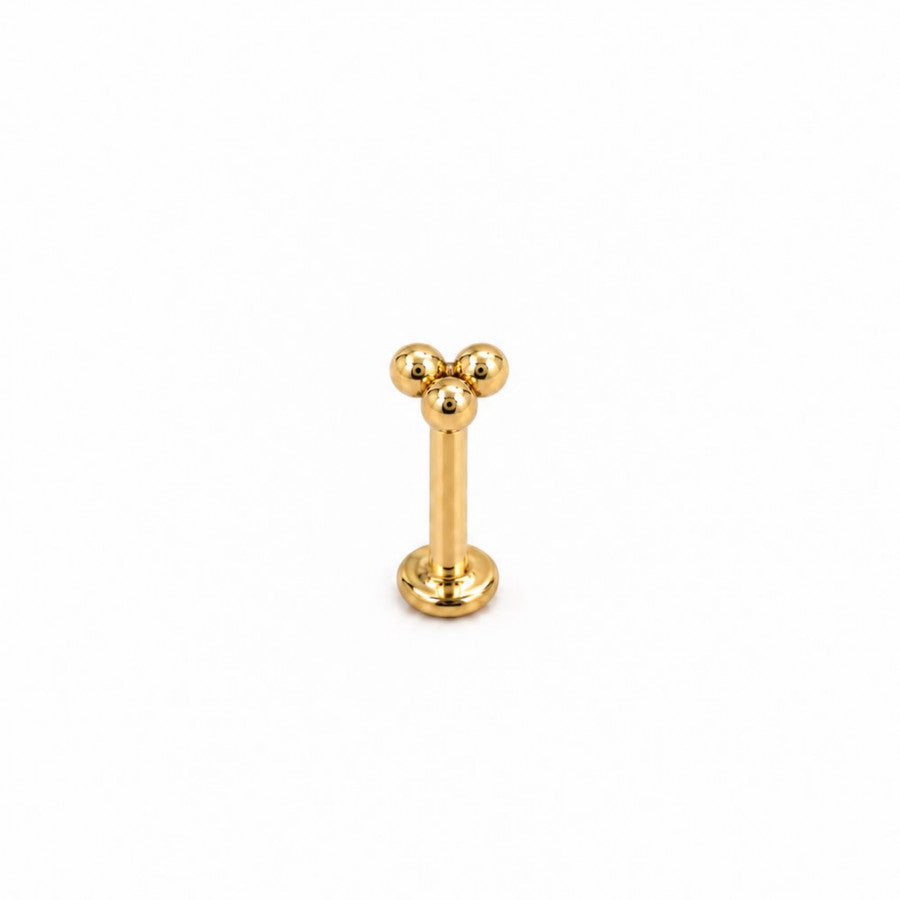 Labret Oro 18K Trisquel Rosca Interna - EP729R | Evolution Piercing