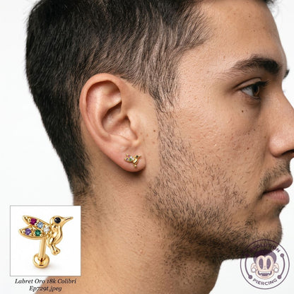 Labret Oro 18K Colibrí