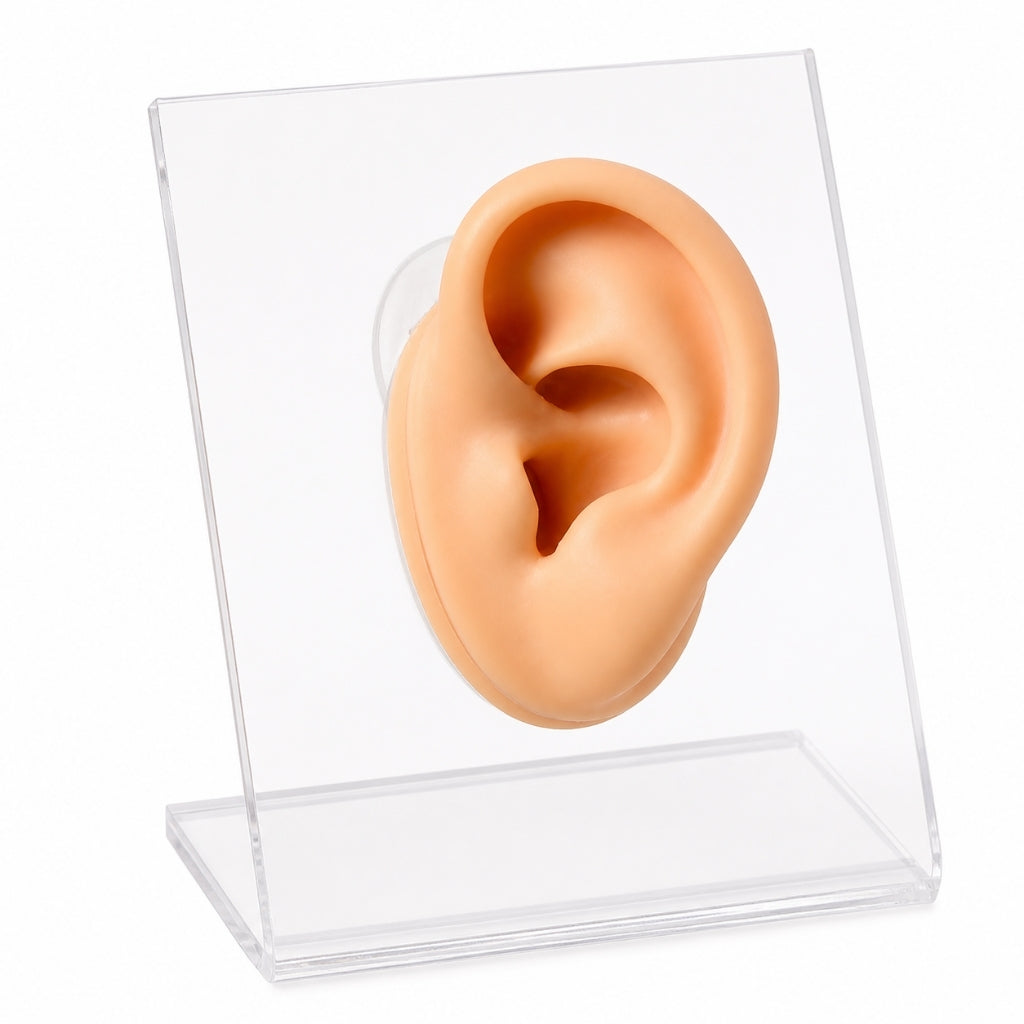 Orejas De Silicona Base + Oreja | Evolution Piercing - EP344