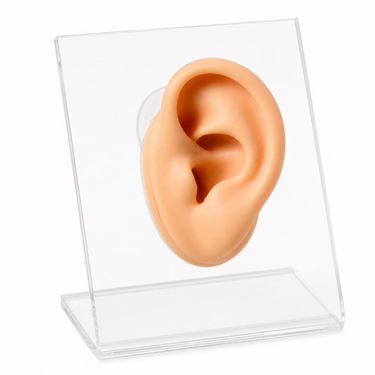 Orejas De Silicona Base + Oreja | Evolution Piercing - EP344
