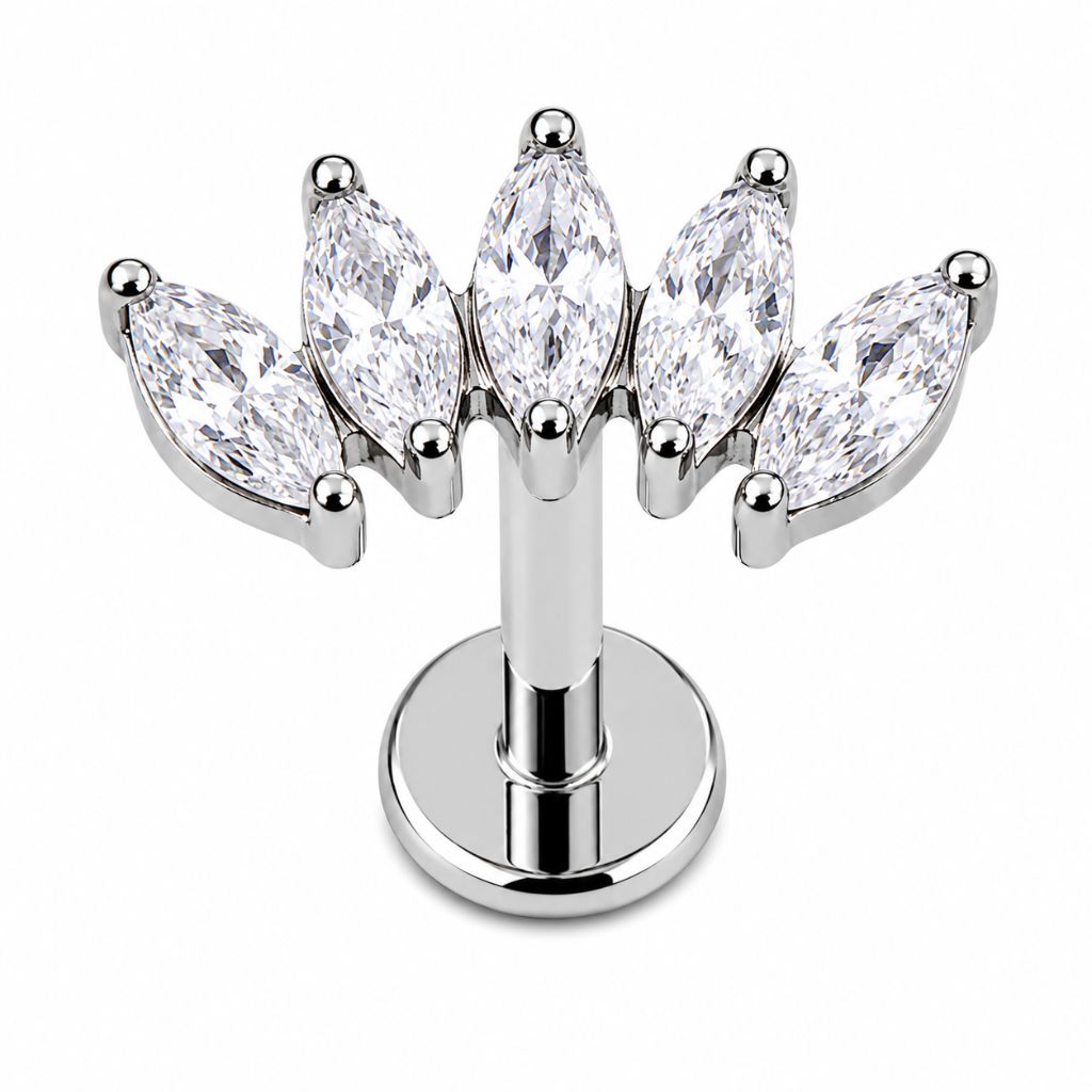Scapha Titanio B para Piercing | Evolution Piercing - EP031B