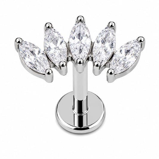 Scapha Titanio B para Piercing | Evolution Piercing - EP031B